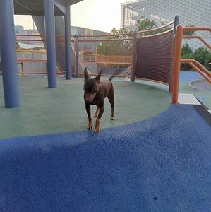 Meet your Posher, Robert